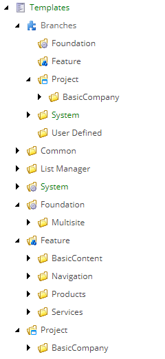 ../../_images/basic-company-template-structure.png